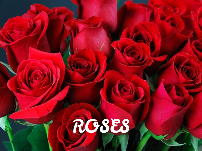 Roses