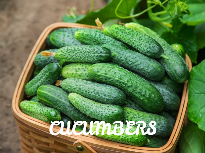 Cucumbers